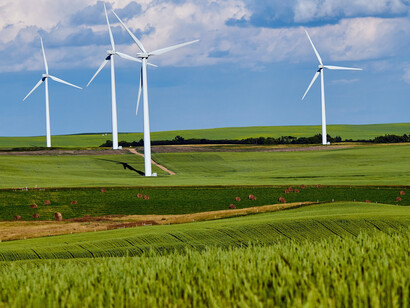 The price on carbon makes clean energy solutions cheaper