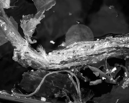 Project economART. Courtesy of Amy-d Arte Spazio