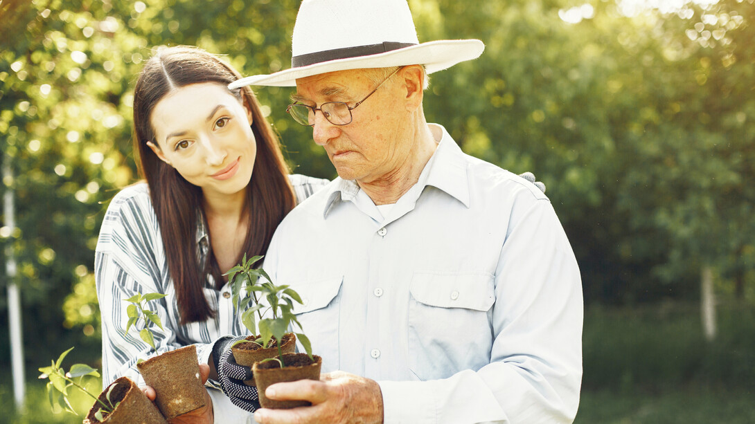 Granddaughter with grandpa, planting together
