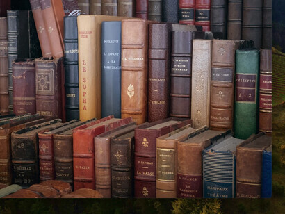 La biblioteca de mi madre