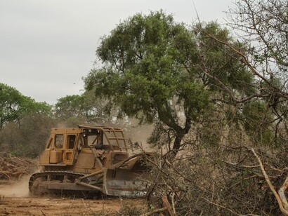 Deforestación en Latinoamérica