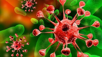 Virus