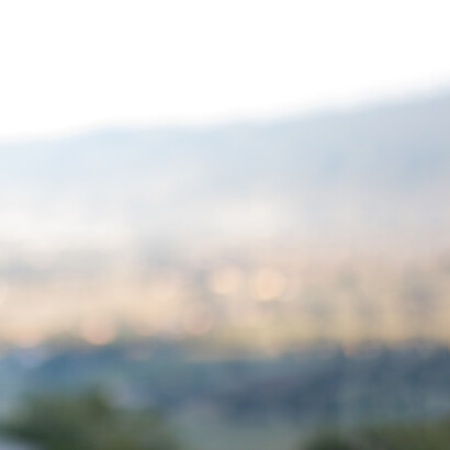 A joyful celebration of beingness

