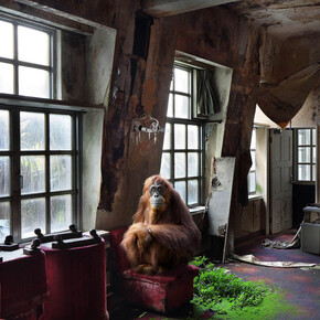 No Man's Land. Courtesy of Galerie Dumonteil