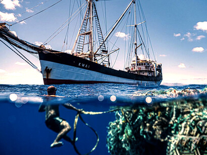 Si tratta di una nuova comunità eterogenea che sta modificando gli ecosistemi ancor più della sola isola di plastica con conseguenze ancora da esaminare