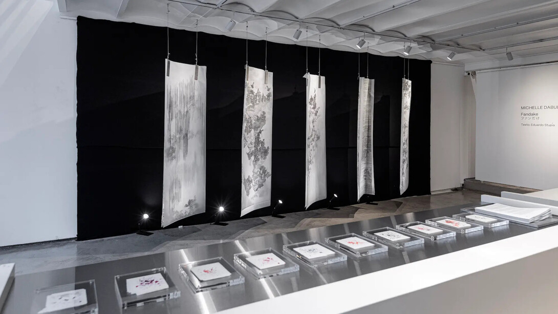 Michelle Dabul, Fandake, exhibition view. Courtesy of Praxis Gallery