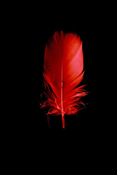 ...su morada» (F. Hölderlin)