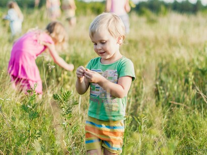 Boy playing with wheat in the fields