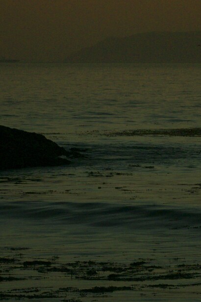 Cauleen Smith, The Wanda Coleman Songbook, 2024 (still, detail). © Cauleen Smith. Courtesy the artist and 52 Walker, New York