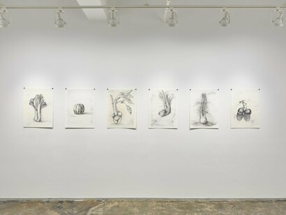 Garden Drawings, Exhibition View, 2023. Courtesy of A.I.R Gallery