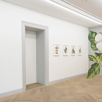 Ishita Chakraborty, I recall the forest inside me, ausstellungsansicht. Mit freundlicher genehmigung der Galerie Peter Kilchmann