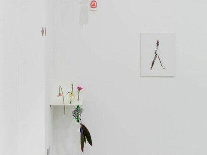 Servants Order ov Ancient Psychik Youth, a presentation by Neue Alte Bruecke, Frankfurt, 2013, Installation View, Courtesy Vilma Gold, London. Photo: Lewis Ronald