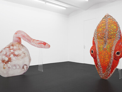 Lemurenheim. Courtesy of Galerie Meyer Kainer 