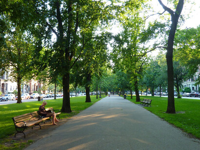Commonwealth Avenue in Boston