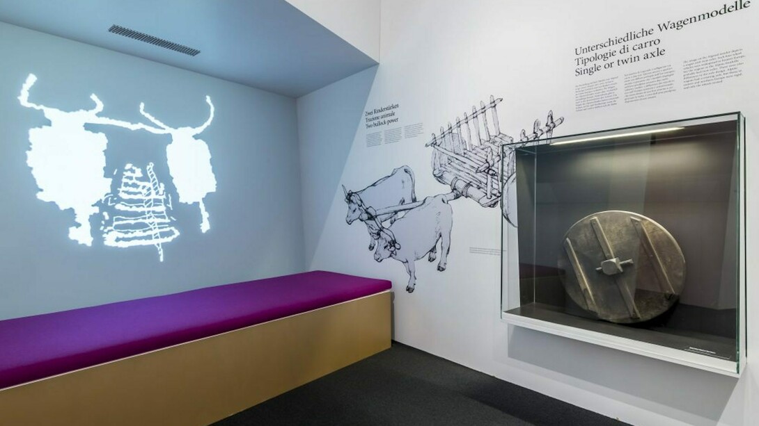 Heavy Metal, Exhibition view. Courtesy of Museo Archeologico dell’Alto Adige