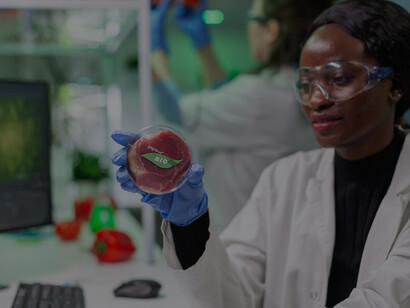 An African American female biochemist researcher analyzes genetically modified saplings and GMO green plants in a microbiology experiment within a hospital laboratory setting