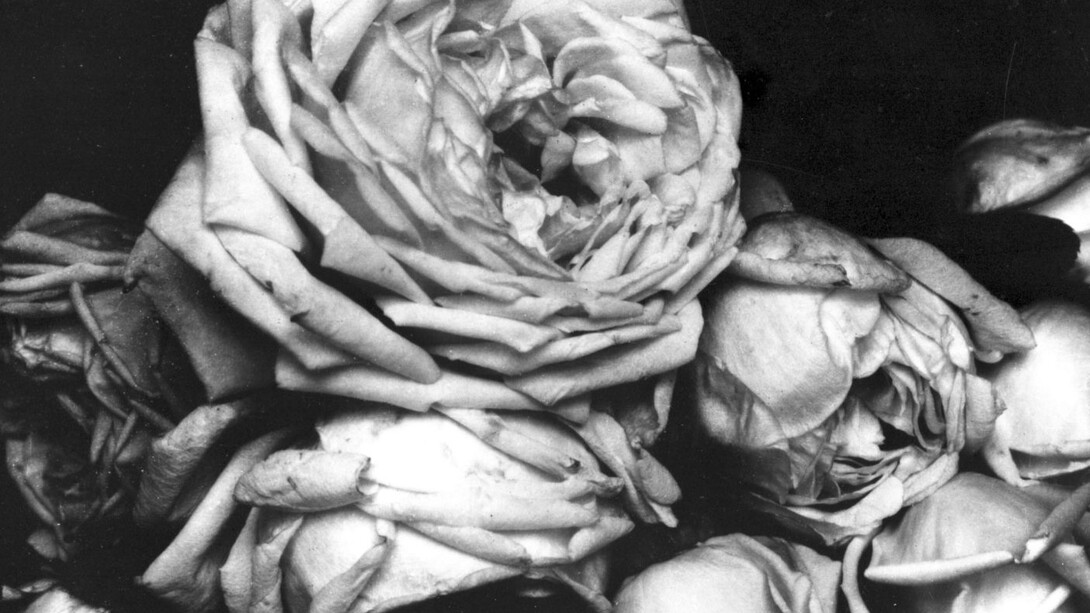 Time Space Continuum. Courtesy of Villa Vauban 