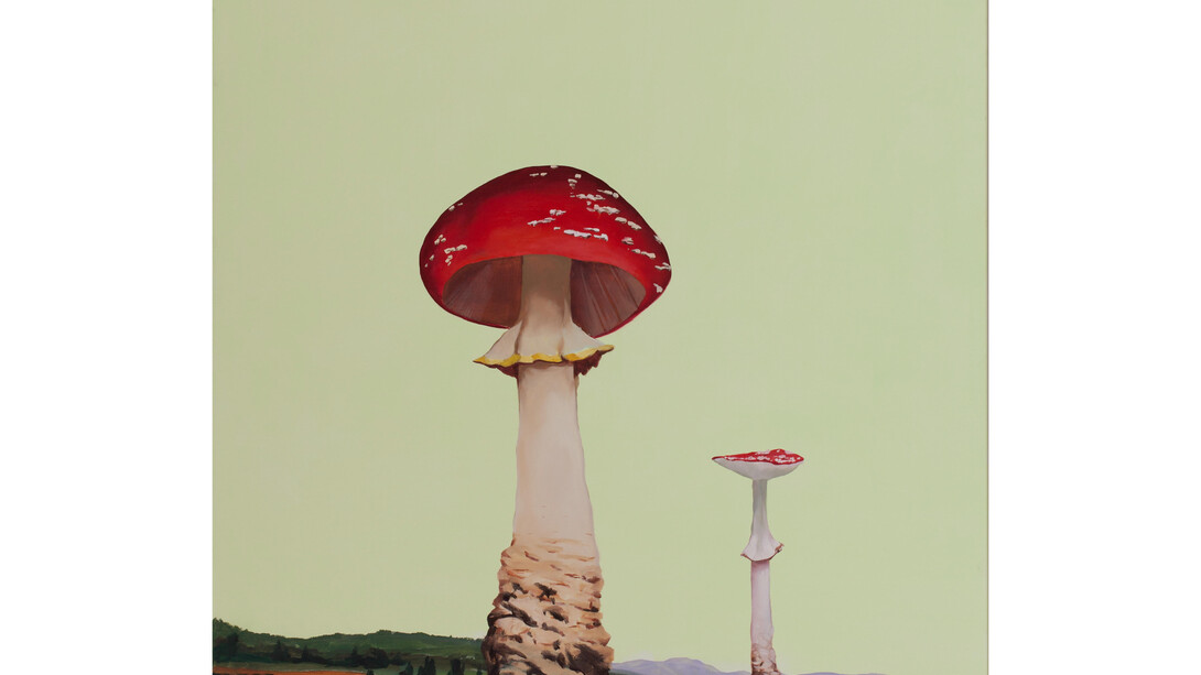Gama, Manöver (Maneuver), 2013, Oil and acrylic on canvas, 55 1/4 x 47 1/4 x 2 in.