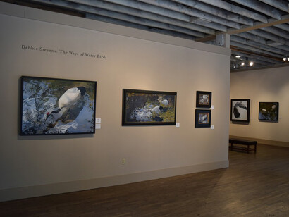 The Ways of Water Birds by Debbie Stevens. Courtesy of William Reaves | Sarah Foltz Fine Art 