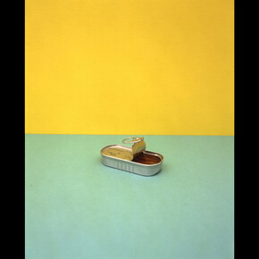 Richard Caldicott, Anchovies, 1996. © Richard Caldicott, courtesy of Atlas Gallery