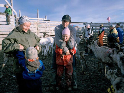 Frost. Courtesy of Canadian Museum of Nature