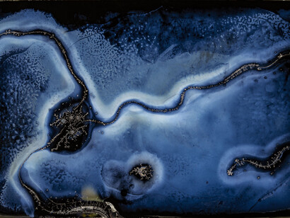 Michael Koerner, Kin Tsu Gi #2142 (detail), 2023. Collodion on tin, 8 by 12 inches. Courtesy of Lisa Sette Gallery