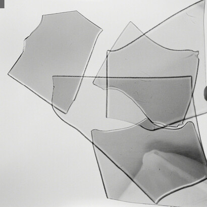 Bernd Oppl. Courtesy of Galerie Krinzinger