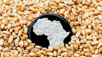 Profilo dell'Africa tra chicchi di grano