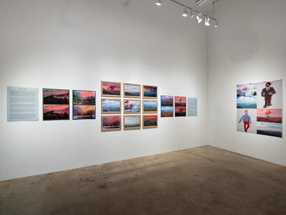 Lane Barden, This was the landscape of our innocence, exhibition view. Courtesy of Track 16 Gallery