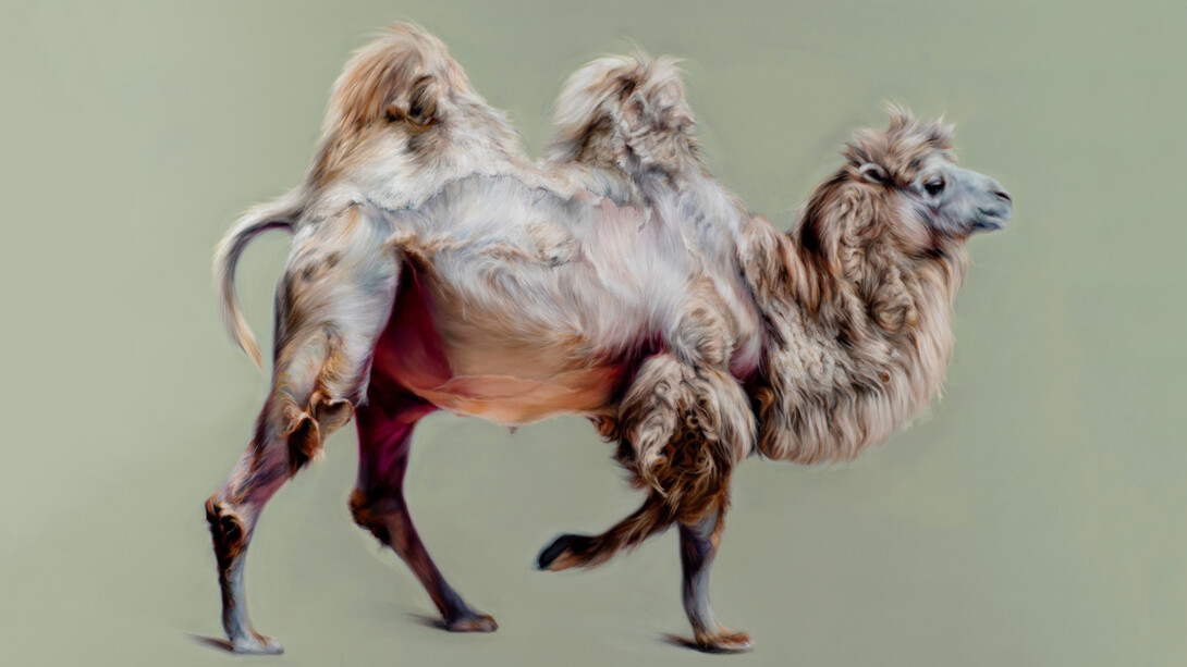 Hugo Wilson, Bactrian II, 2025. Courtesy of Nicodim Gallery