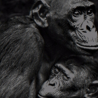 Isabel Muñoz. Platinotipias. Courtesy of N2