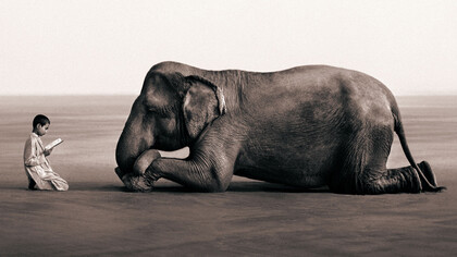 Gregory Colbert, serie fotográfica Ashes and Snow