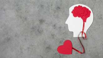 Beyond logic and facts: recognizing the heart as the center of wisdom, empathy, and our deepest intelligence