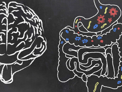Tthe human body is an ecosystem that contains not just human cells, but also bacteria
