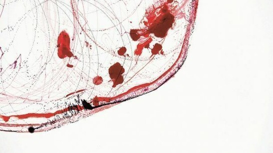 Marcos Lutyens, “Government Resigned and was never never replaced”, Saturday 8.01 pm Egypt, 2013, ink on paper, cm 76 x 56,5, detail