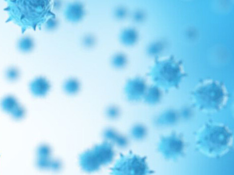 Conosciamo nei minimi dettagli la struttura del virus ma sappiamo ancora poco di come esso agisce sul nostro corpo