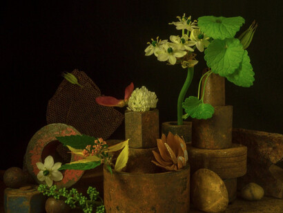 From the Ground Up 2.0. Courtesy of Soho Photo Gallery