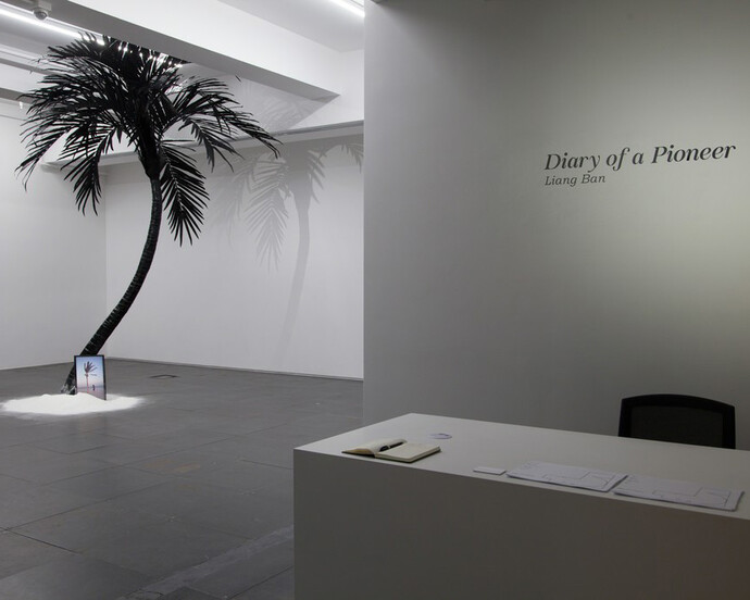 Diary of a Pioneer. Courtesy of de Sarthe Gallery