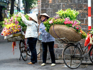 Dans le silence des marchés, les fleurs murmurent des histoires anciennes, comme ces prénoms donnés avec soin, ceux de Kim Chi et de ses sœurs, où chaque pétale devient mémoire
