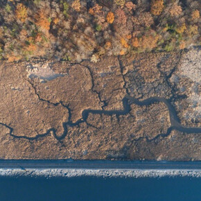 Tributaries. Courtesy of Soho Photo Gallery