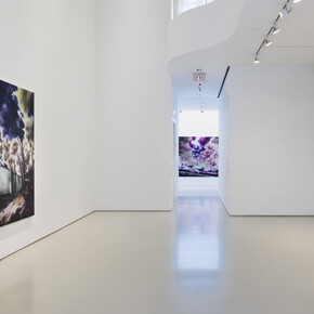 Gamaliel Rodríguez, La luz de alante (The light ahead), exhibition view. Courtesy of Sperone Westwater Gallery