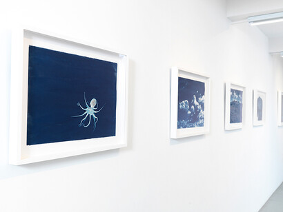 Brian Buckley, Exhibition view. Courtesy of ClampArt
