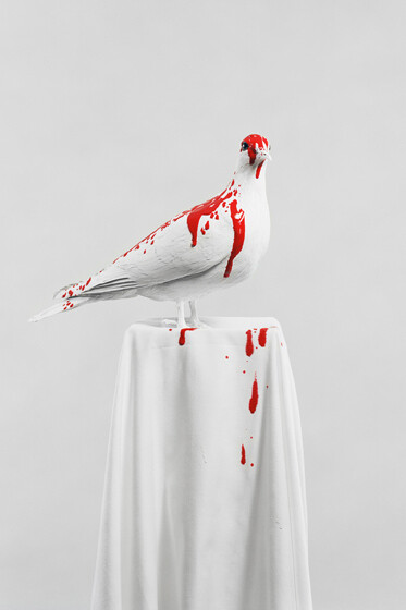 Julia Krahn, Die Taube, 2011 © Julia Krahn 