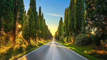 Il viale dei Cipressi di Bolgheri, nel cuore della Maremma livornese