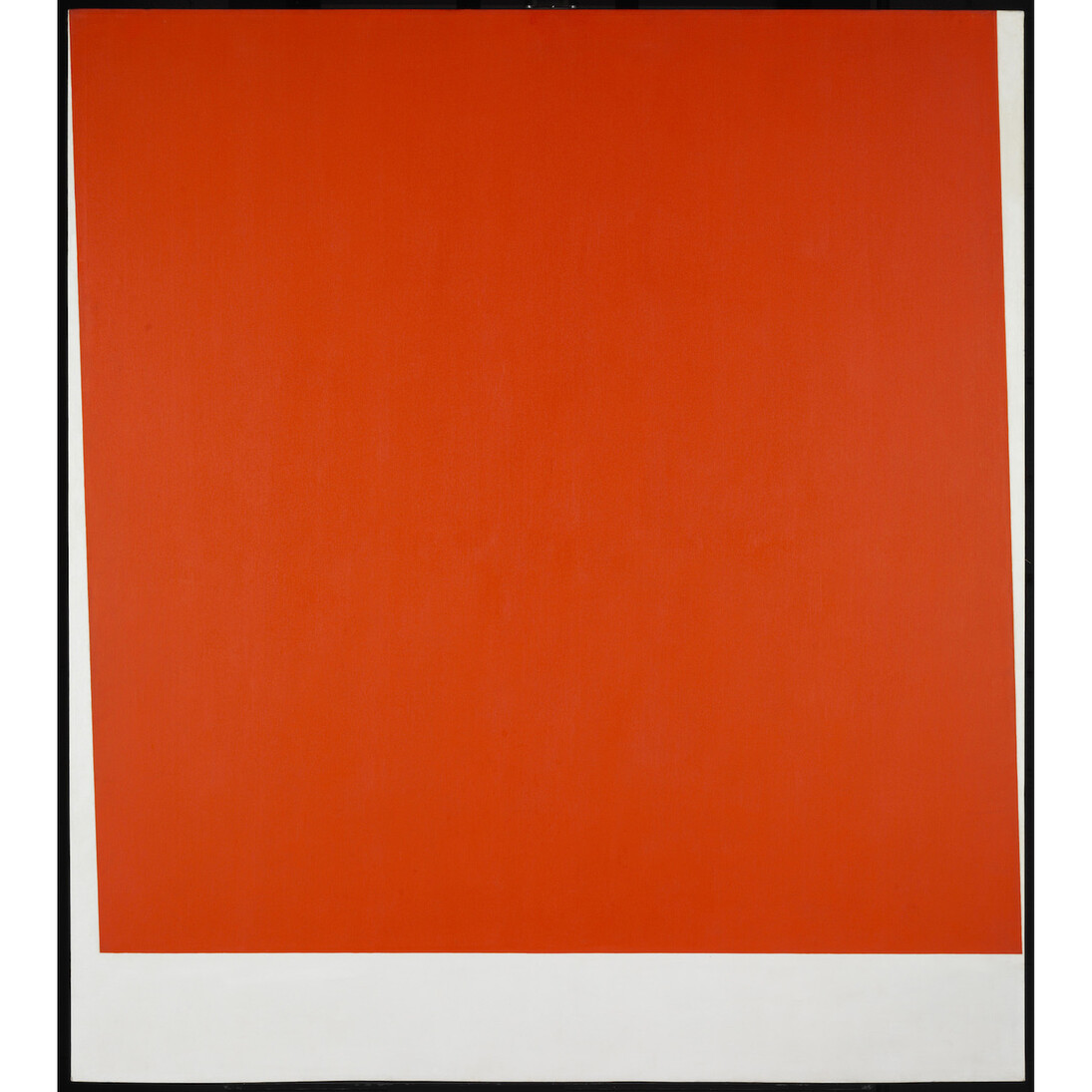 Ellsworth Kelly. In Focus. Courtesy of Tate Liverpool