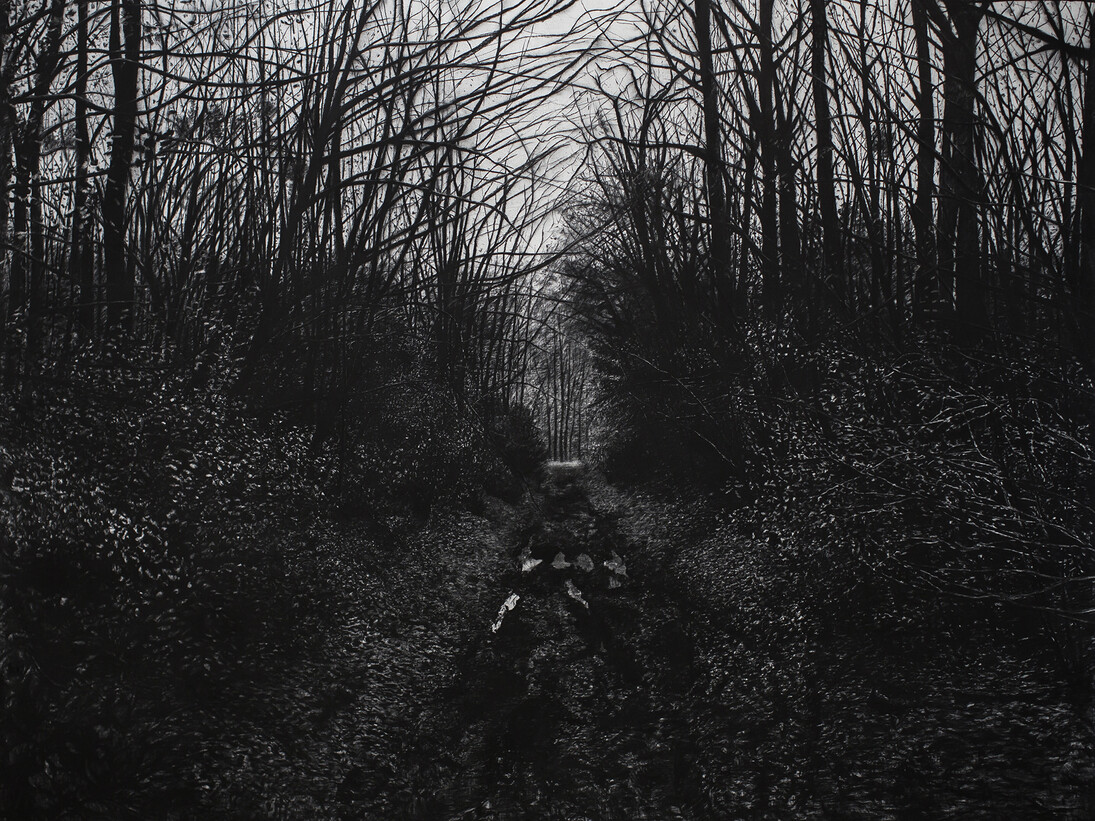 Thomas  Levy-Lasne, La fôret, fusain sur papier, 250 x 325 cm 