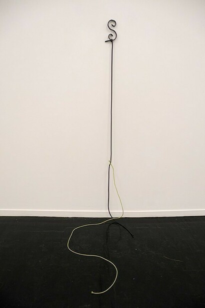 Sergio Verastegui, S (2), 2014, fer forgé, mousse, corde, dimensions variables, pièce unique, Cortex Athletico, N° Inv. SV/14/055