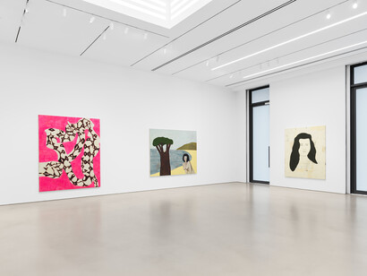 Tomoo Gokita, installation view. Courtesy of Dan Bradica, the artist and Petzel, New York