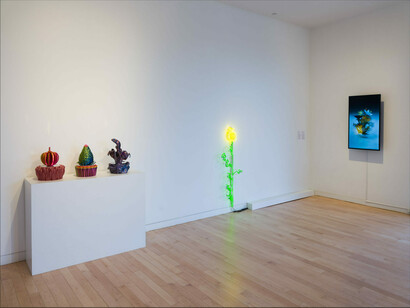 Various artists, A garden of promise and dissent, exhibition view. Courtesy of The Aldrich