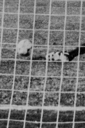 Hugo Alves marcando un tanto de penal, septiembre de 1979